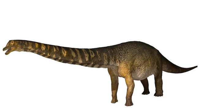کشف بقایای یکی از بزرگترین دایناسورها در استرالیا + عکس